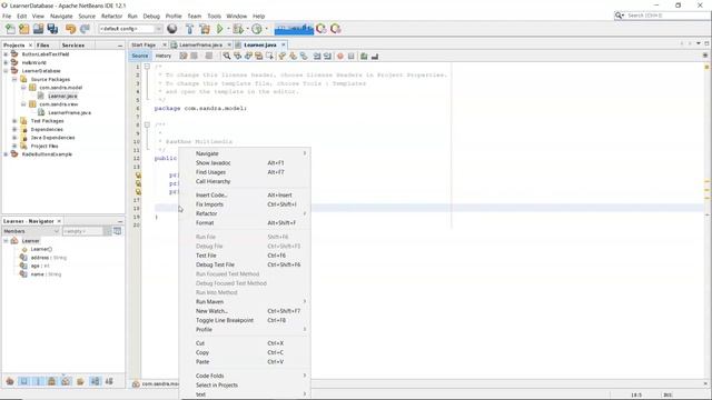 PART 2A: NetBeans Database Example - Setting up the MODEL - the Learner.java смотреть онлайн