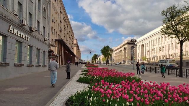 Тюльпаны в Курске. смотреть онлайн
