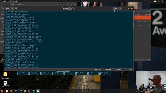 FaceDetectIR - IR camera - RTSP - DeepStream SDK with TensorRT model смотреть онлайн