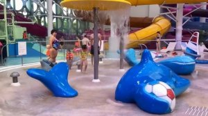 Куда пойти с детьми - Аквапарк Лужники