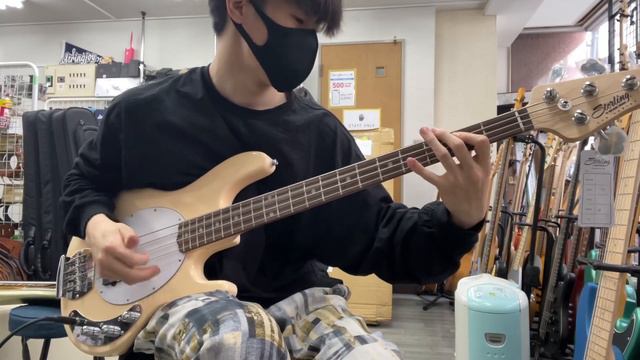 Sterling By Muic Man / SUB StingRay Ray4 Vintage Cream【Test Play】