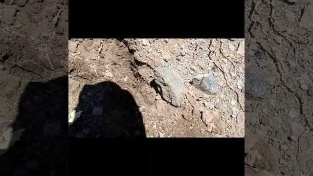 calando en campo el nuevo Detector chino Gold hunter T90 смотреть онлайн