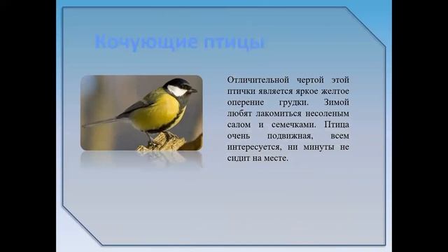 Халилова У Ю ФЦКМ Зимующие птицы смотреть онлайн