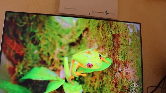 PROBANDO MONITOR AOC 1080P 144 HZ смотреть онлайн