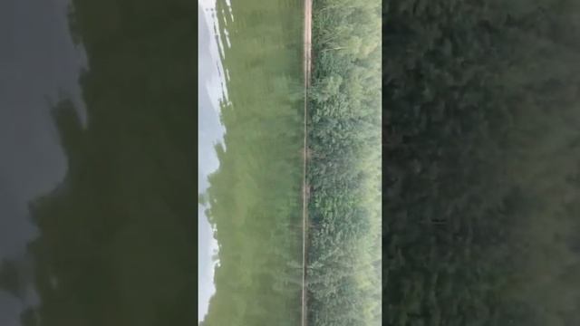 Балтмоторс 35 л/с смотреть онлайн