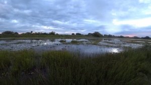 Охота на утку осень 2022.