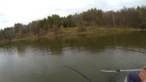 Три типажа мест для успешной ловли щук. Река Цна.