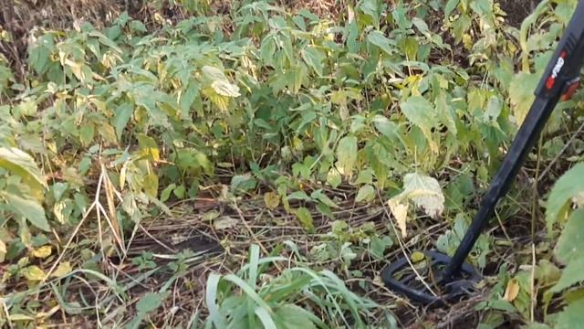 Просто выходной 20 октября 2019 года смотреть онлайн
