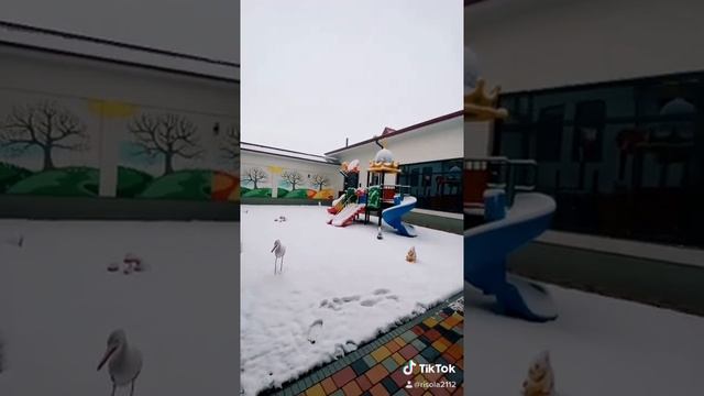 Частный детский сад в Ташкенте 11.01.2021 смотреть онлайн