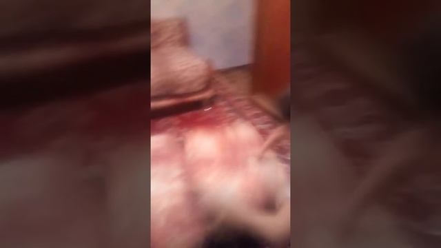 Как сделать кувырок смотреть онлайн