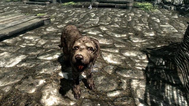 Skyrim - NPC Dog смотреть онлайн