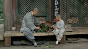 Весна, лето, осень, зима… и снова весна, (реж. Ким Ки Дук). Ч.1-Весна //... размышления небуддиста/