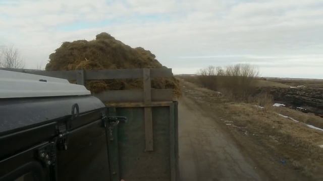 Выдали пропуск. Вожу силос (карантин) смотреть онлайн