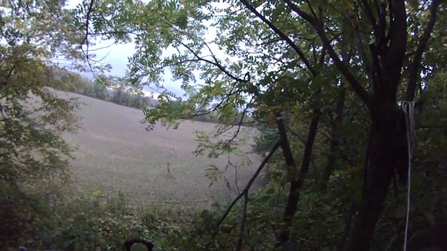 Deer hunting with Excalibur Micro Suppressor 355fps. Canada смотреть онлайн