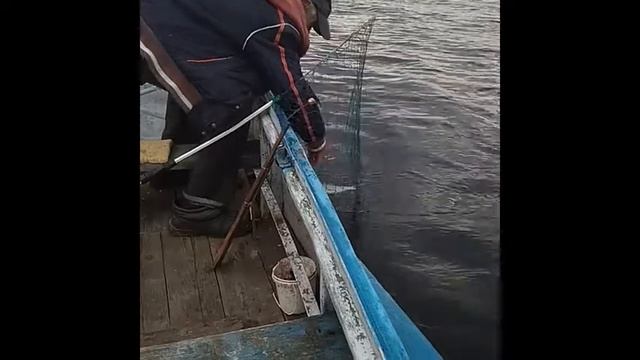 Село Подольское июль 2018 Костромская область смотреть онлайн