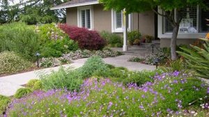 Роскошный мир ландшафтного дизайна.