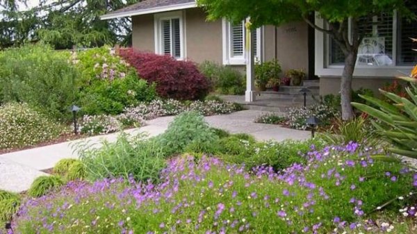 Роскошный мир ландшафтного дизайна.