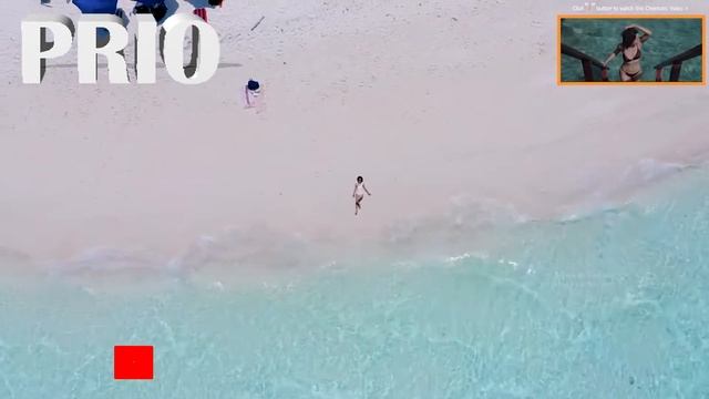 PRIO - TELEFON (Prod By 7even beats x PRIO x DucNH) смотреть онлайн