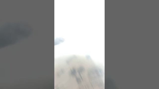 Шрек дудка пердудка смотреть онлайн