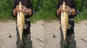 VR 3D фильмы - Рыбалка на Оке в 3D - Документальное кино в 3D