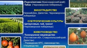 Юг Европейской части России хозяйство
