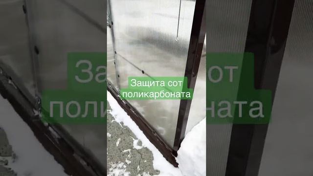 Защита сот сотового поликарбоната смотреть онлайн