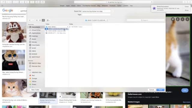 CARA MENYIMPAN GAMBAR DARI SAFARI KE FOLDER PADA iMac:Macbook смотреть онлайн