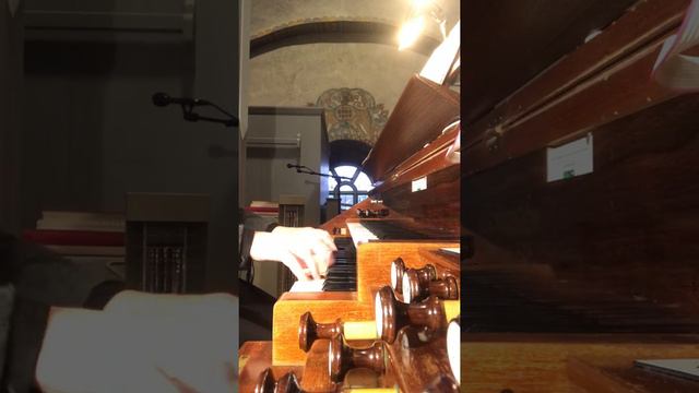 Kristina Shtegman plays ”The Ride of the Valkyries”(part) on Setterquist-organ in Ljusdals Church смотреть онлайн