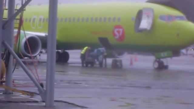 вот так идет погрузка багажа в аэропорту Домодедово!!! смотреть онлайн