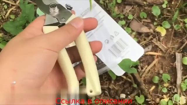 Недорогой секатор для сада и дачи с Алиэкспресс. смотреть онлайн