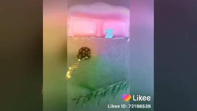 Борзая коровка)))Мини сказ про божью коровку. смотреть онлайн