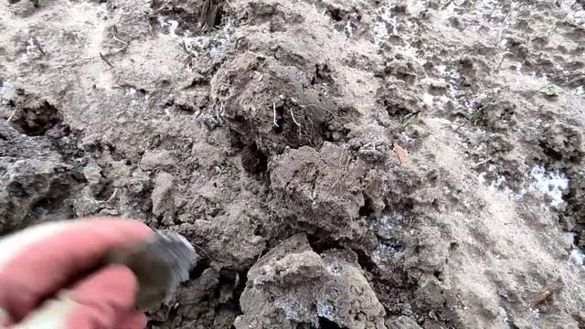 Три медные монеты на металлоискатель Frogman T90