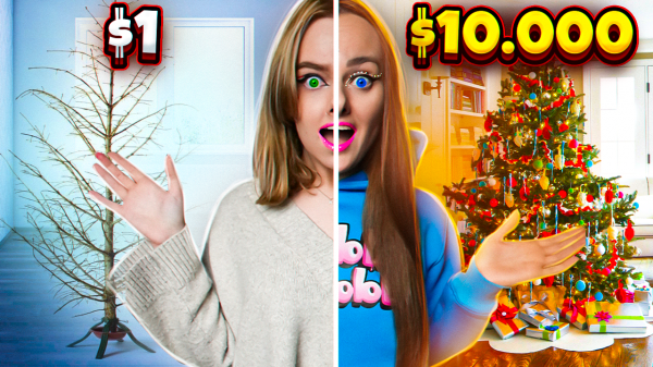 СКУПАЮ ВСЕ на НОВЫЙ год ЧЕЛЛЕНДЖ! МОЙ бюджет не ограничен vs 200 рублей