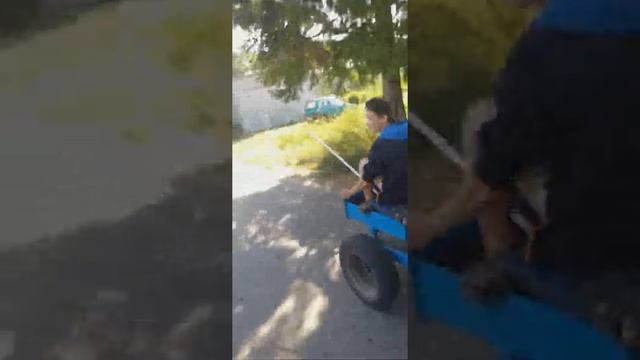 Самодельный трактор из мотоблока смотреть онлайн