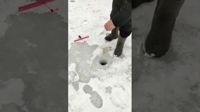 3 февраля 2023 г. смотреть онлайн