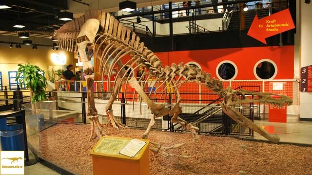 Зухомим — Динозавры смотреть онлайн