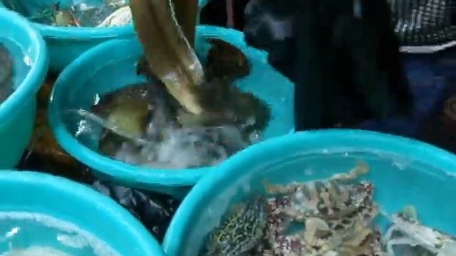 Ресторан морепродуктов