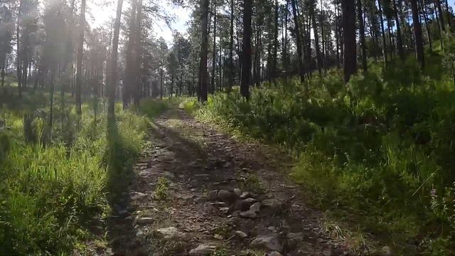 EP:07 Riding Solo to the Black Hills - BDR-X Section 3 Custer State Park смотреть онлайн