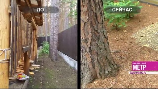 «Экодизайн»: трудности создания ландшафтного дизайна для дома с обустроенным участком смотреть онлайн