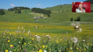 5 минут дыхательной практики анти-стресс. Когерентное дыхание