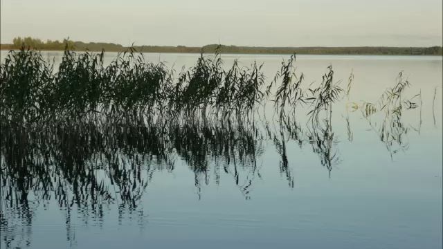 Андозеро Солнце Русского Севера 2