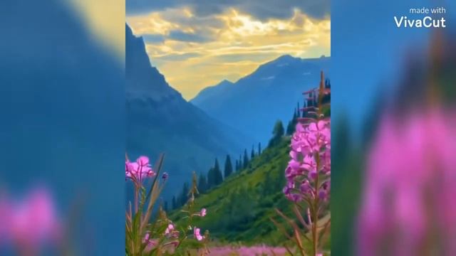 #3✨ / Эстетичные видео / Aesthetic videos / Нарезка смотреть онлайн