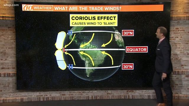 What are the trade winds? смотреть онлайн