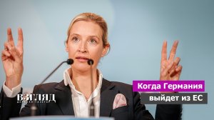 «Альтернатива для Германии» за путь Британии. Референдум в ФРГ о выходе из ЕС: миф или реальность?