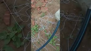 Как протянуть кабель в ПНД трубу быстрый способ