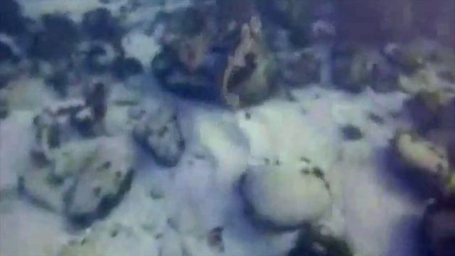 Дайв вдали от суши смотреть онлайн