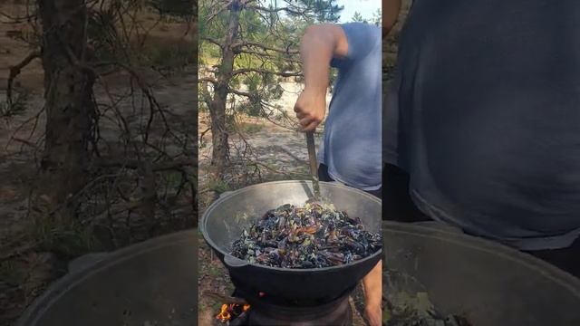 Где праздновать день рождения на природе смотреть онлайн