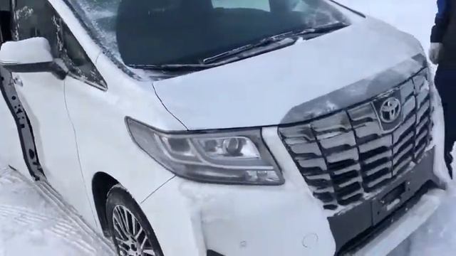 2019 Toyota Alphard Executive Lounge смотреть онлайн
