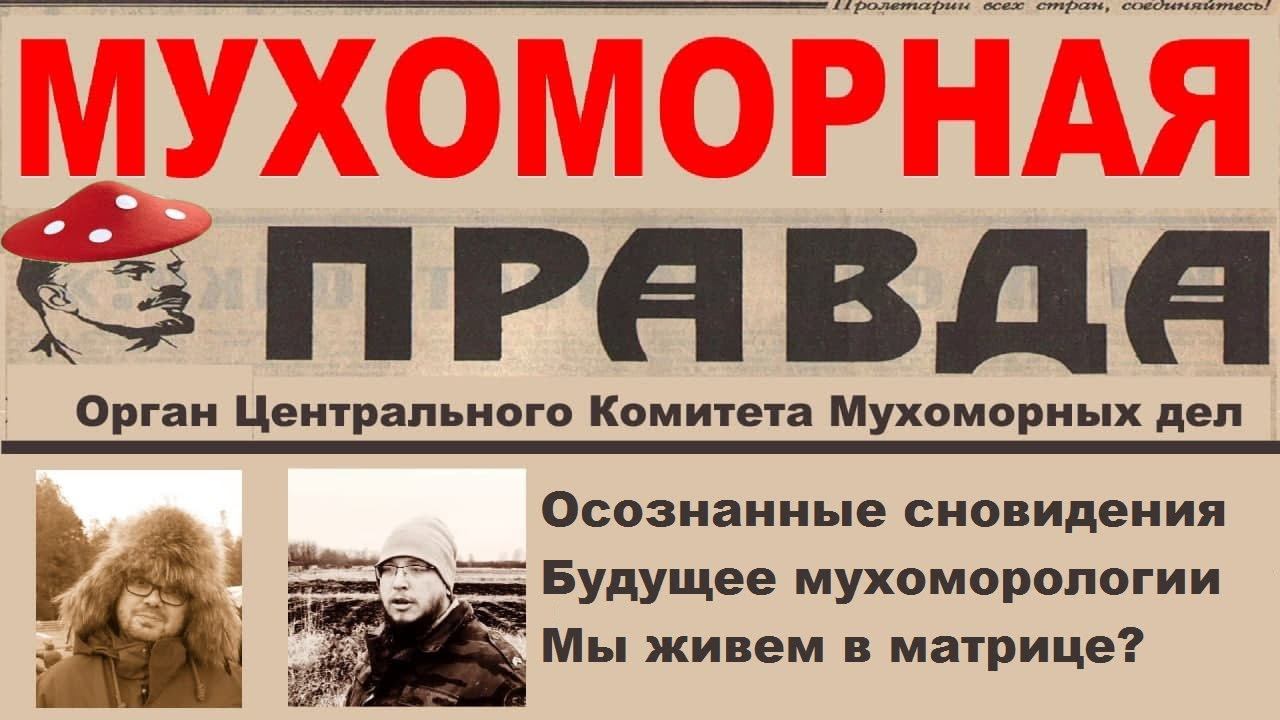 Мухоморная Правда #2 смотреть онлайн