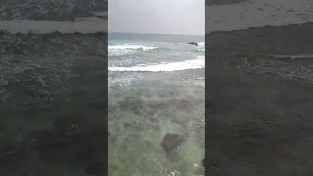 Шри-Ланка,.пляж Виджая,Отель Шри Гемуну. смотреть онлайн